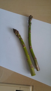 20160429_130715.jpg