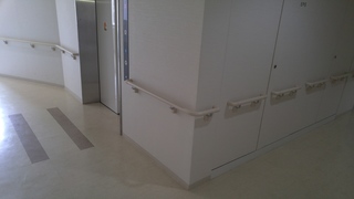 20170417_152347.jpg
