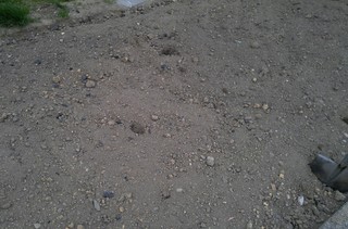 20170507_162259.jpg