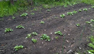20170606_082225.jpg