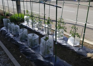 20170613_082124.jpg