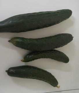 20170623_185736.jpg