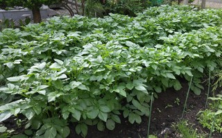 20170627_081017.jpg