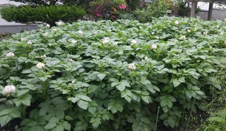 20170705_081431.jpg