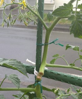 20170716_113214.jpg