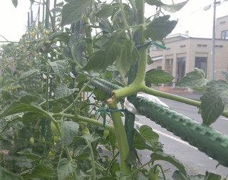 20170716_113913.jpg