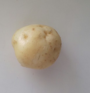 20170802_130355.jpg