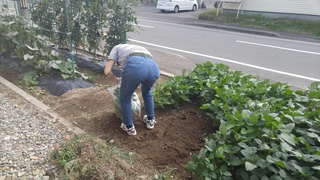 20170815_130855.jpg