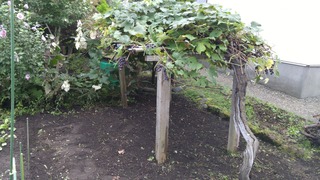 20170913_124439.jpg